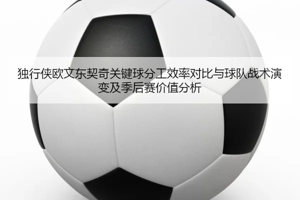 独行侠欧文东契奇关键球分工效率对比与球队战术演变及季后赛价值分析