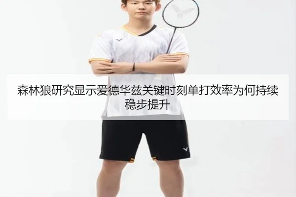 森林狼研究显示爱德华兹关键时刻单打效率为何持续稳步提升